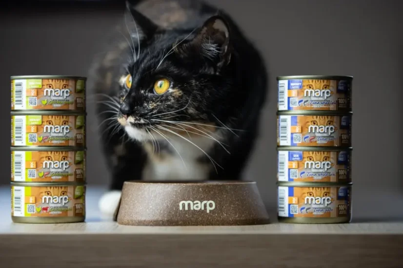 Marp Holistic+ konzerva pre mačky Kuracie paté s hovädzími kúskami 70g 2