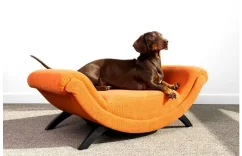 Pohovka pre malého psa FLAMINGO Sofa Dingo 80x43cm oranžová 1