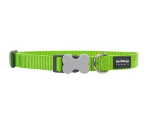 Red Dingo obojok Classic Lime Green 2,5x41-63 cm zelený