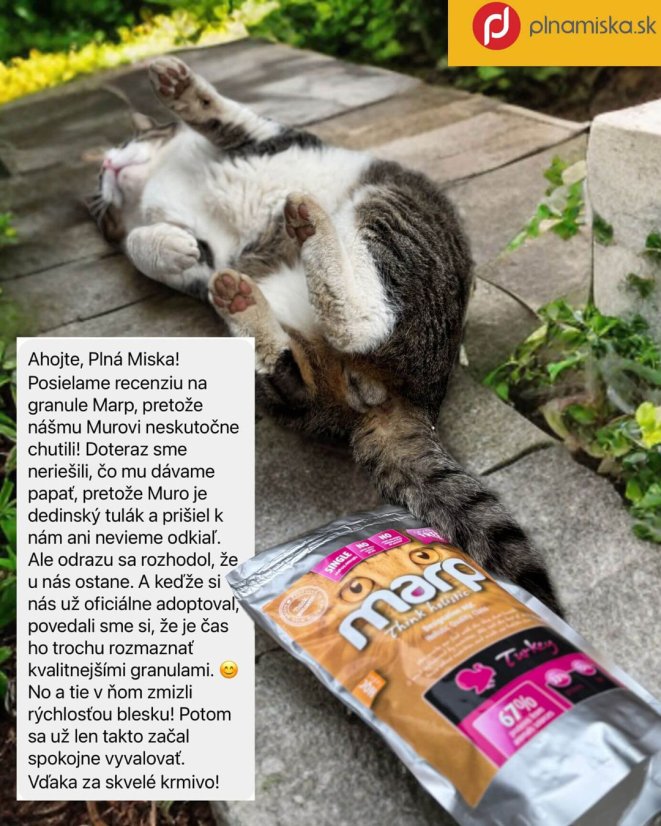 Marp CAT Holistic Turkey morka 2 kg