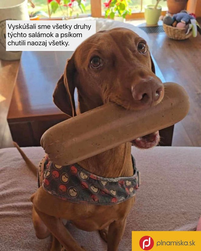 NATURIS Houdbaar výcviková saláma Kalkoen morka 200g recenzia 2