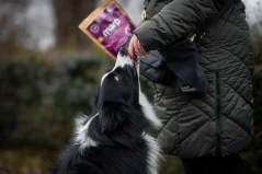 Marp Treats Holistic maškrty pre psov Fish mix 500g