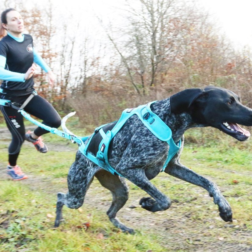 I-DOG Postroj canicross ALM X-BACK Phoenix