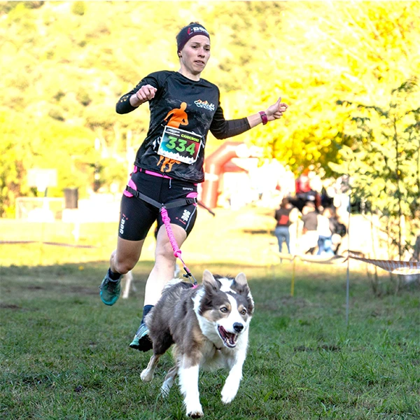 I-DOG Sedák na canicross RAIDLIGHT rose 2