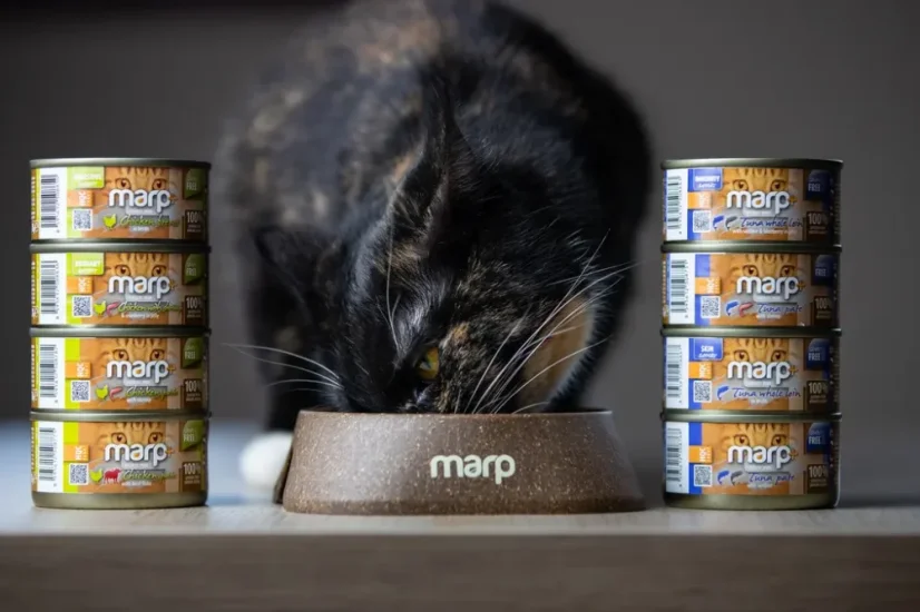 Marp Holistic+ konzerva pre mačky Kuracie paté s hovädzími kúskami 70g 4