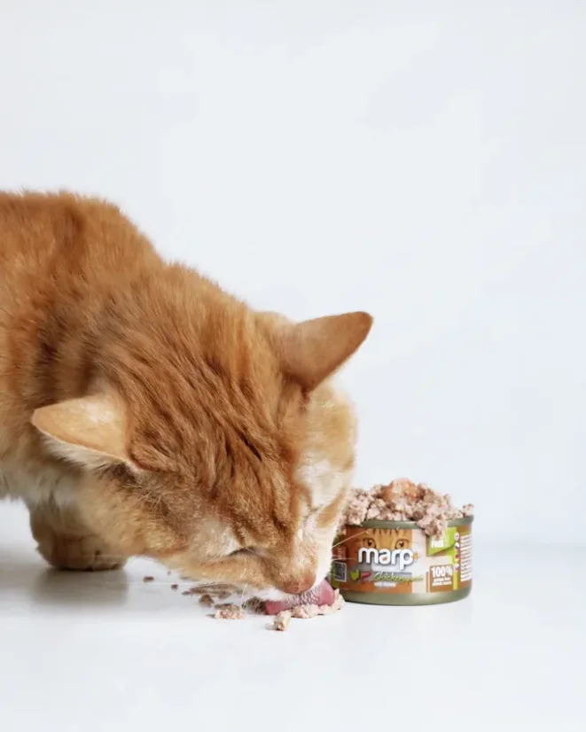 Marp Holistic+ konzerva pre mačky Kuracie paté s krevetami 24x70g 1