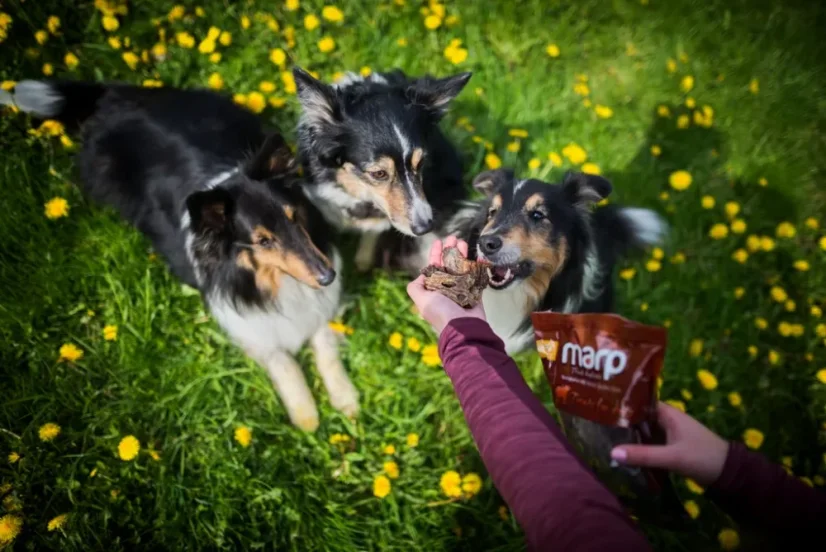 Marp Treats Buffalo Liver sušená pečeň kúsky 200g