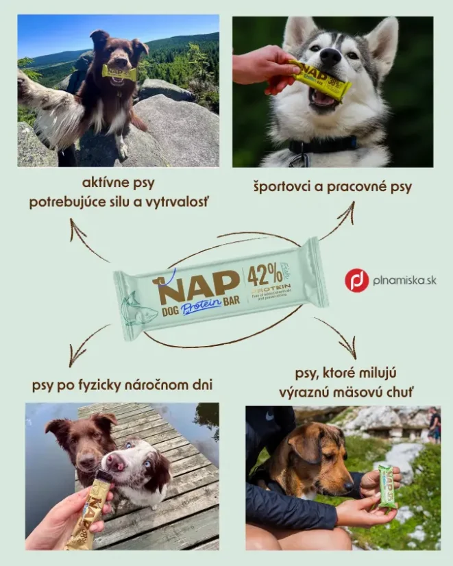 NAP proteínová tyčinka pre psa - rybia 50g 4