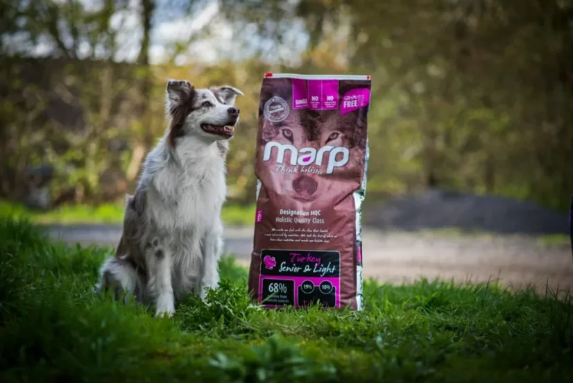 Marp Holistic Turkey Senior and Light morčacie granule pre starších psov a psov s nadváhou 12kg  4