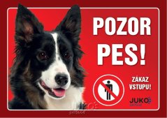Juko Plastová tabuľa Pozor Pes Border Kólia 21x14,7 cm