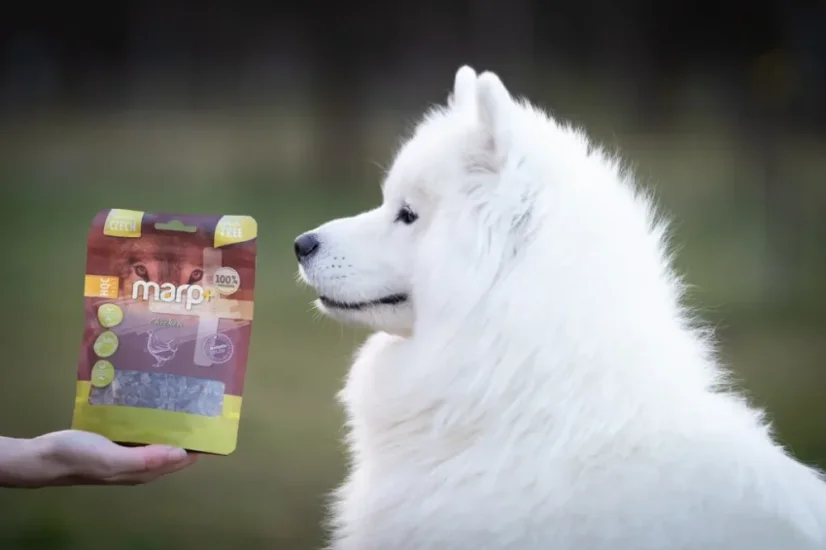 Marp Treats Holistic+ maškrty pre psov kuracie 80g 5