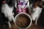 Marp Holistic  White Mix SB granule pre malé plemená bez obilnín 12kg 4