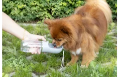 FLAMINGO ARCHIE cestovaná flaša s miskou pre psa 400ml - napájačka s uzamykateľným otvorom 1