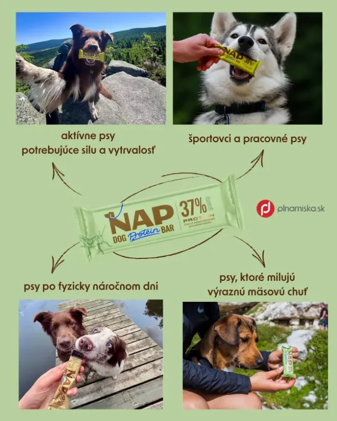 NAP proteínová tyčinka pre psa - hmyz 50g 2