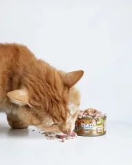 Marp Holistic+ konzerva pre mačky Kuracie paté s krevetami 24x70g 1