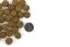 Marp Variety  Grass Field jahňacie 17kg