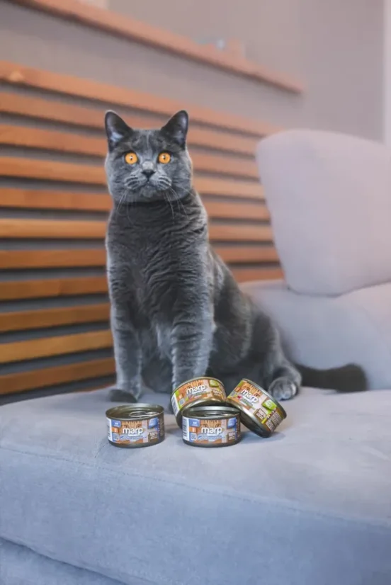 Marp Holistic+ konzerva pre mačky Tuniak so sardinkami a čučoriedkami v želé 70g 4