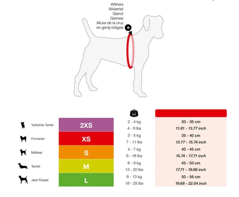 CURLI Magnetic Vest Harness Air-Mesh XS 35-40 cm Red