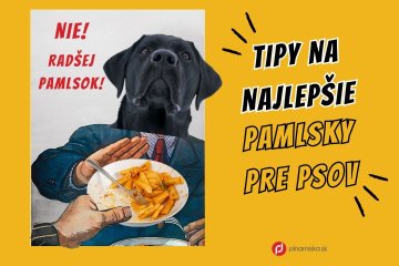 Ako vybrať správnu maškrtu pre vášho miláčika?