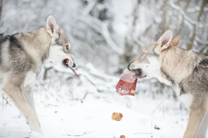 Marp Treats Buffalo Crunchies sušená priedušnica - prírodný dentálny pamlsok pre psa 500g 4