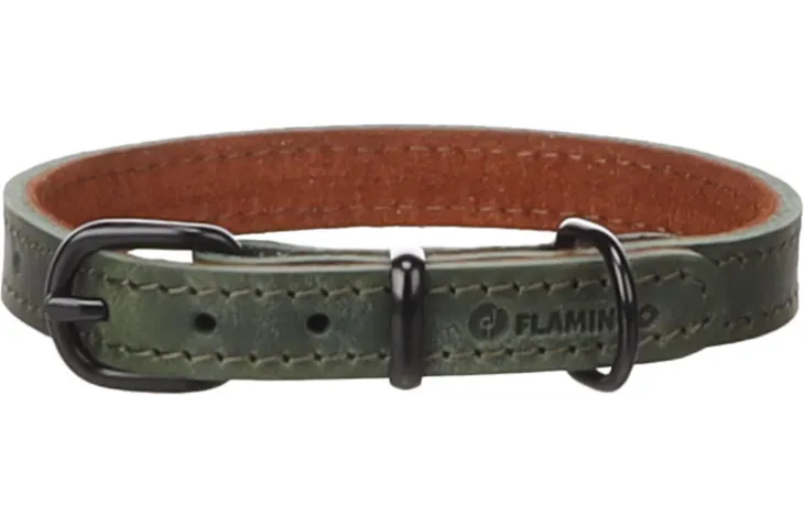 FLAMINGO Montana kožený obojok S 29,5-35,5cm 15 mm zelený 1