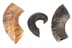 FLAMINGO NATURE SNACK jahňací roh 200g