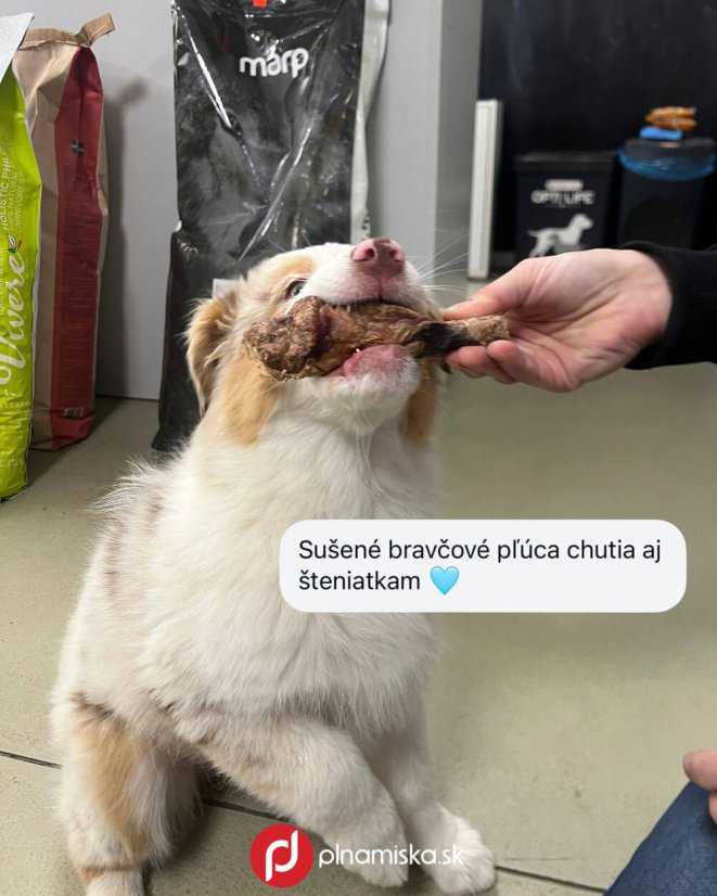 MAPES bravčové pľúca bal. 100g