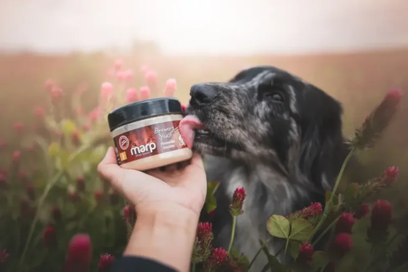 Marp Holistic BARF Pivovarské kvasnice 100g