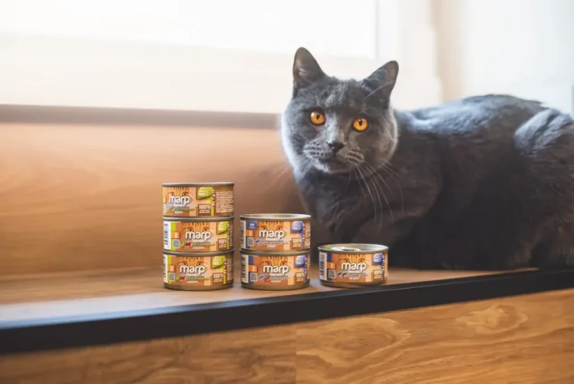 Marp Holistic+ konzerva pre mačky Kuracie paté s krevetami 24x70g 2