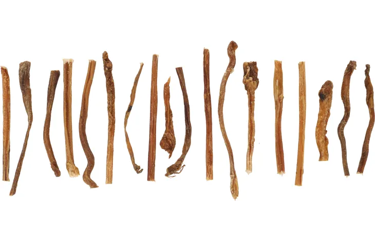 FLAMINGO NATURE SNACK jahňací penis - prírodný pamlsok na žuvanie 1