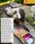 Marp CAT Holistic Turkey morka 2 kg