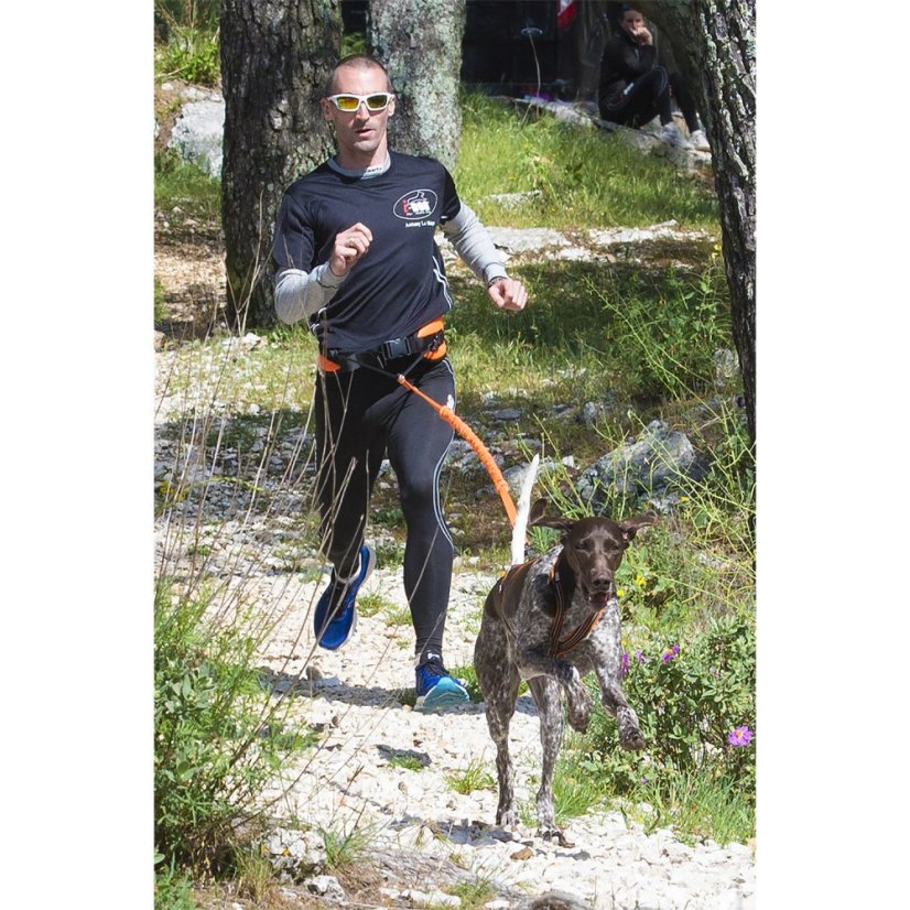 I-DOG Amortizérové vodítko canicross ONE