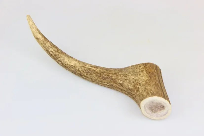 Marp Treats Holistic Paroh Jeleň veľkosť XL (160-200g) 1