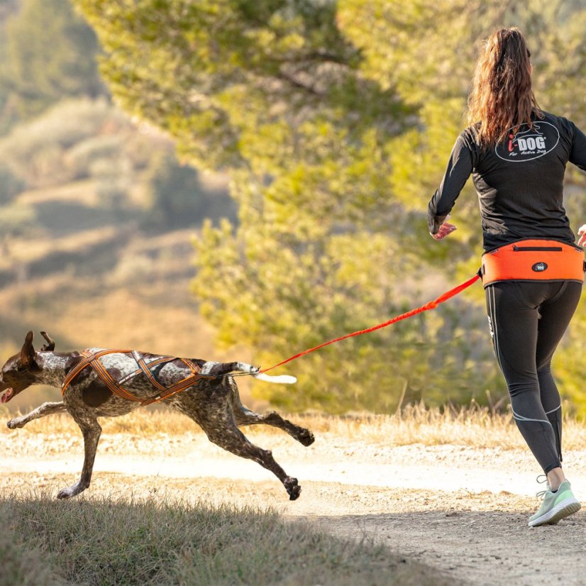 I-DOG Sedák canicross ONE