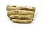 Marp Treats Holistic Kávové drevo M (70-100g) 2