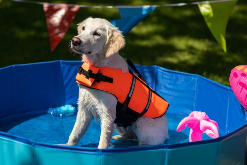 Flamingo Swim Life Jacket plávacia vesta S 30CM 7,5-10kg