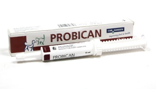 Probican pasta 15 ml