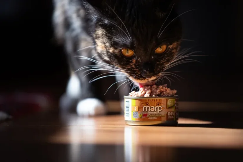Marp Holistic+ konzerva pre mačky Kuracie paté s hovädzími kúskami 24x70g 3