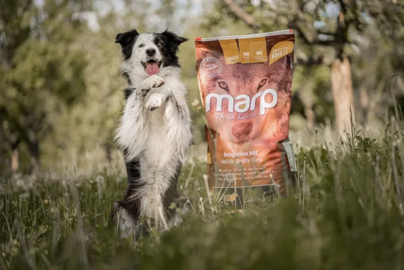Marp Holistic  Lamb jahňacie grnaule bez obilnín - pre dospelých psov všetkých plemien 12kg 4
