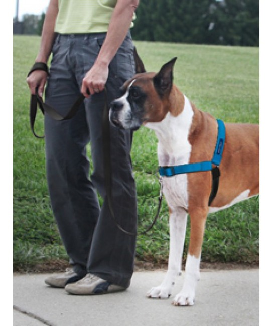 Petsafe Easy Walk Postroj proti ťahaniu Deluxe M 51-71 cm