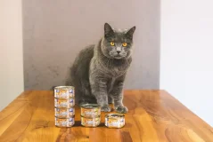 Marp Holistic+ konzerva pre mačky Tuniakové paté so sardinkami 70g 1