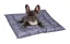 FLAMINGO Cooling Bed - chladiaci pelech veľkosť S 56x66x6 cm