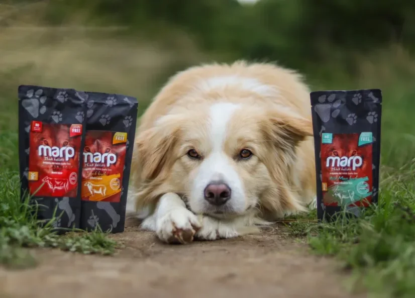 Marp vývar z divokého losa 230ml