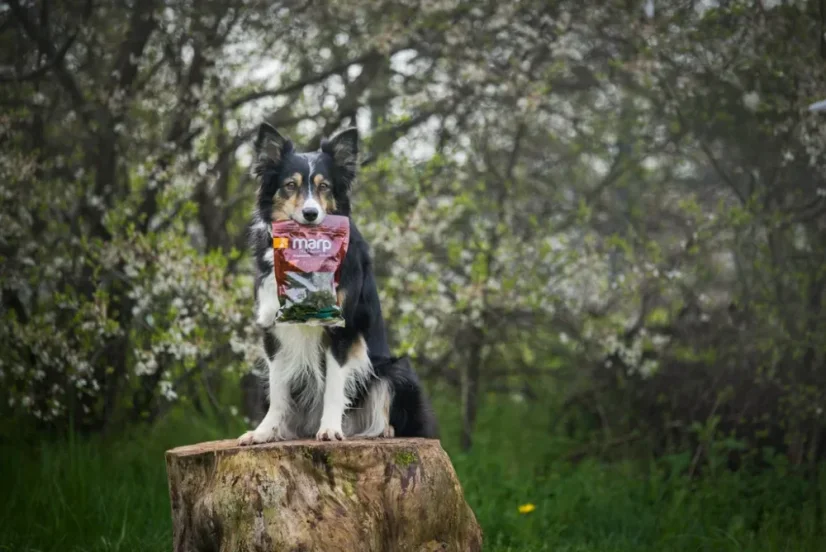 Marp Treats Buffalo Liver sušená pečeň kúsky 200g