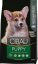 Farmina CIBAU dog puppy M 12kg