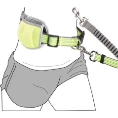 Flamingo Jogingové vodítko + opasok RONO 180-250 cm žlté