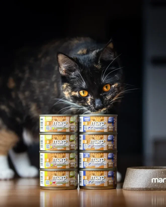 Marp Holistic+ konzerva pre mačky Tuniakové paté s krevetami 70g 2