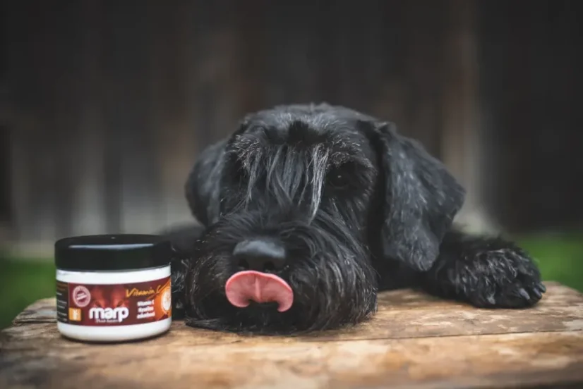 Marp Holistic BARF Vitamín C 100g