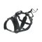 I-DOG Postroj canicross RAIDLIGHT