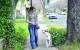 Chôdza na voľnom vodítku: Tréning, aby pes neťahal